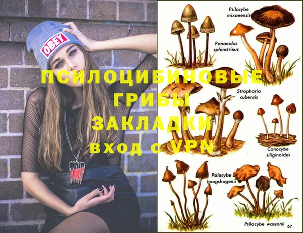 кокаин колумбия Михайлов