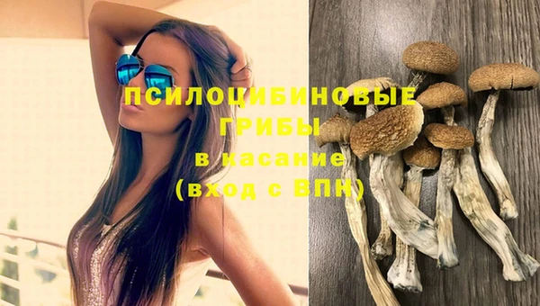 эйфоретик Михайловск