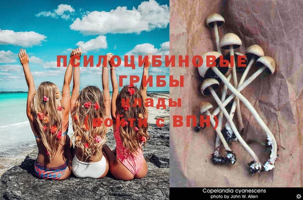 кокаин колумбия Михайлов