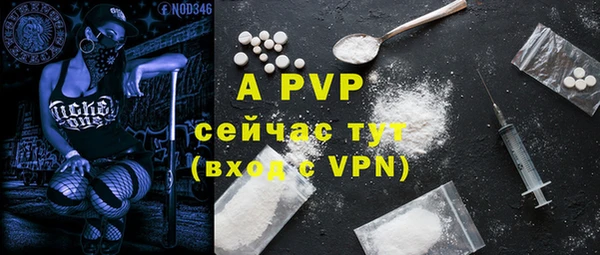 ГАЛЛЮЦИНОГЕННЫЕ ГРИБЫ Надым