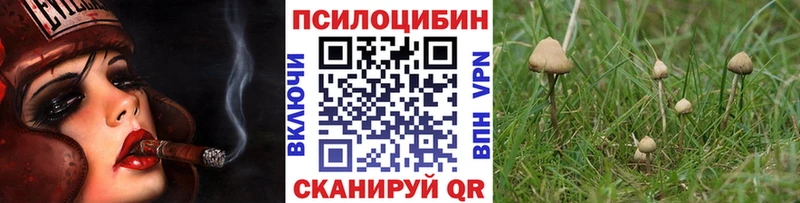 Галлюциногенные грибы прущие грибы  OMG зеркало  Саки 